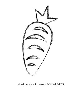 carrot fresh vegetable icon