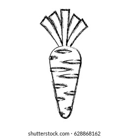 carrot fresh vegetable icon