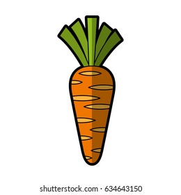 carrot fresh vegetable icon