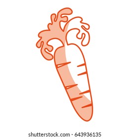 carrot fresh vegetable icon