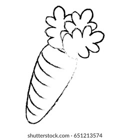 carrot fresh vegetable icon