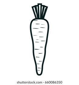 carrot fresh vegetable icon
