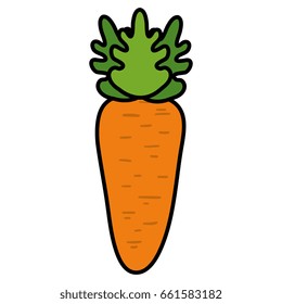 carrot fresh vegetable icon