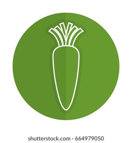 carrot fresh vegetable icon