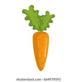 carrot fresh vegetable icon