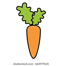 carrot fresh vegetable icon
