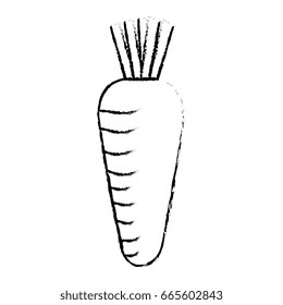 carrot fresh vegetable icon