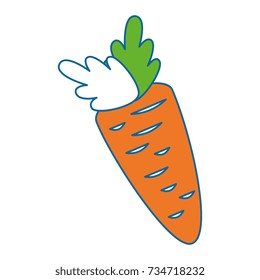carrot fresh vegetable icon