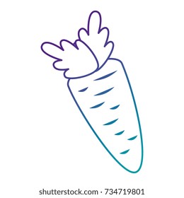 carrot fresh vegetable icon
