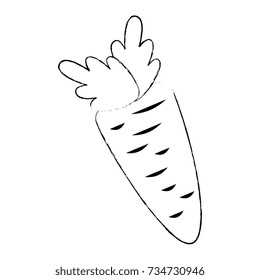 carrot fresh vegetable icon