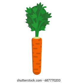 Carrot fresh vegetable icon, vector illustration flat style design isolated on white. Colorful graphics