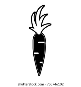 Carrot fresh vegetable icon vector illustration graphic design
