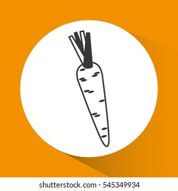carrot fresh vegetable isolated icon vector illustration design