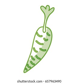 carrot fresh vegetable isolated icon
