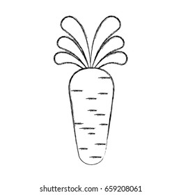 carrot fresh vegetable isolated icon