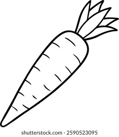Carrot  fresh vegetable  vector art illustration