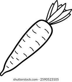 Carrot  fresh vegetable  vector art illustration