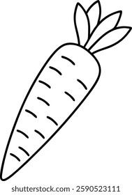 Carrot  fresh vegetable  vector art illustration