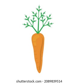 carrot fresh vegetable vector icon