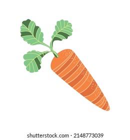 icono del vector vegetal fresco de zanahoria