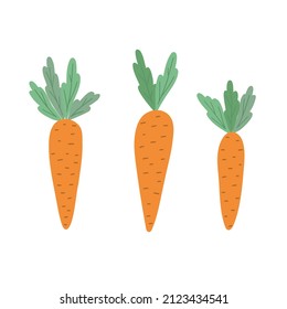 Carrot, fresh vegetable vector illustration, healthy organic food concept, Easter holiday celebration element