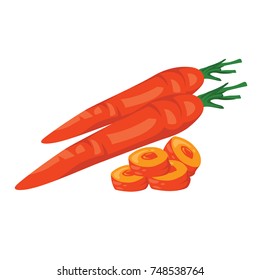 Carrot Fruit Fresh Realistic Vector