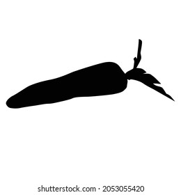 diseño de vectores simples de fruta de zanahoria