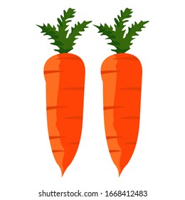 Carrot fruit vector with white background, for graphic designer logos and web pages.
