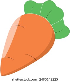 Carrot fruit vector white background