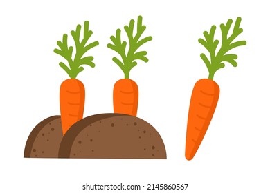 Carrot Gardening Agriculture Vector illustration isolated on white background