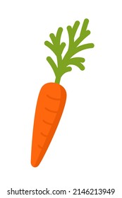 Carrot Gardening Agriculture Vector illustration isolated on white 