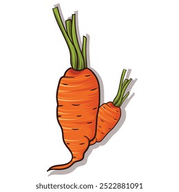 
Carrot with green cutting leaf illustration.