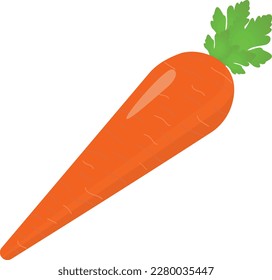 A carrot with a green leaf on it. 