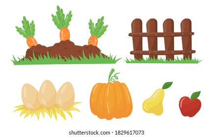 Carrot Growing on Vegetable Patch and Eggs on Straw Vector Set