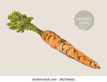 carrot hand draw sketch, vector