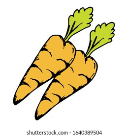 Carrot hand drawn icon vector illustration on doodle style