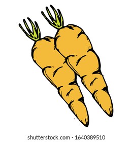 Carrot hand drawn icon vector illustration on doodle style