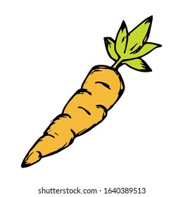 Carrot hand drawn icon vector illustration on doodle style