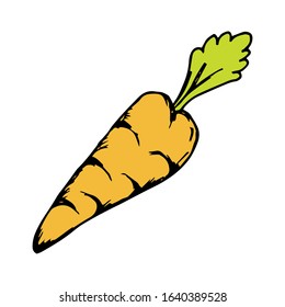 Carrot hand drawn icon vector illustration on doodle style