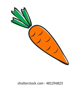 Carrot, hand drawn style