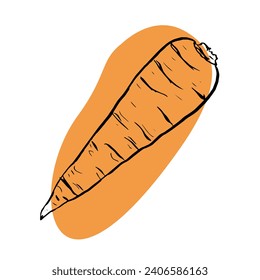 Ilustración de doodle vectorial dibujado a mano de zanahoria. zanahoria fresca en naranja. Esbozo simple de verdura. Comida vegetariana.