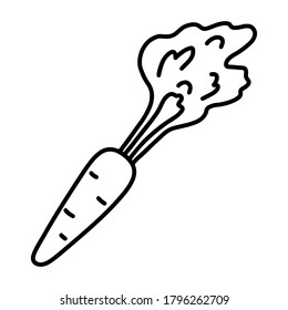 Möhre. Handgezeichnete Vektorgrafik im Doodle-Stil, einzeln auf weißem Hintergrund.