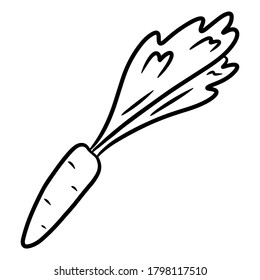Zanahoria. Ilustración vectorial dibujada a mano en estilo doodle, aislada en un fondo blanco.