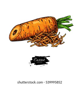 Carrot hand drawn vector illustration. Isolated Vegetable artistic style object with sliced pieces. Detailed vegetarian food drawing. Farm market product. Great for menu, label, icon