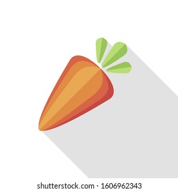 Carrot. Healthy tasty food. Orange Organic Fresh Vegetable.