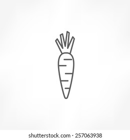 Carrot Icon