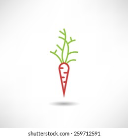 Carrot icon