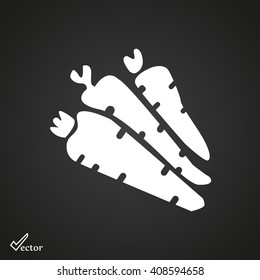 carrot icon