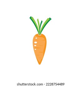 carrot icon color logo design vector illustration