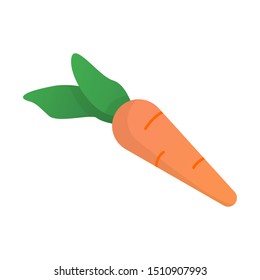 Carrot icon colour flat fresh